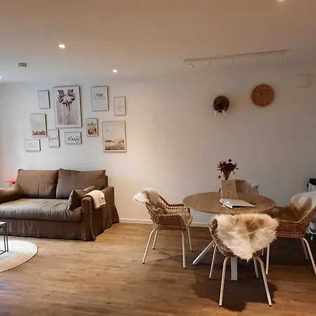 Lachmoewe By Deju Norderney